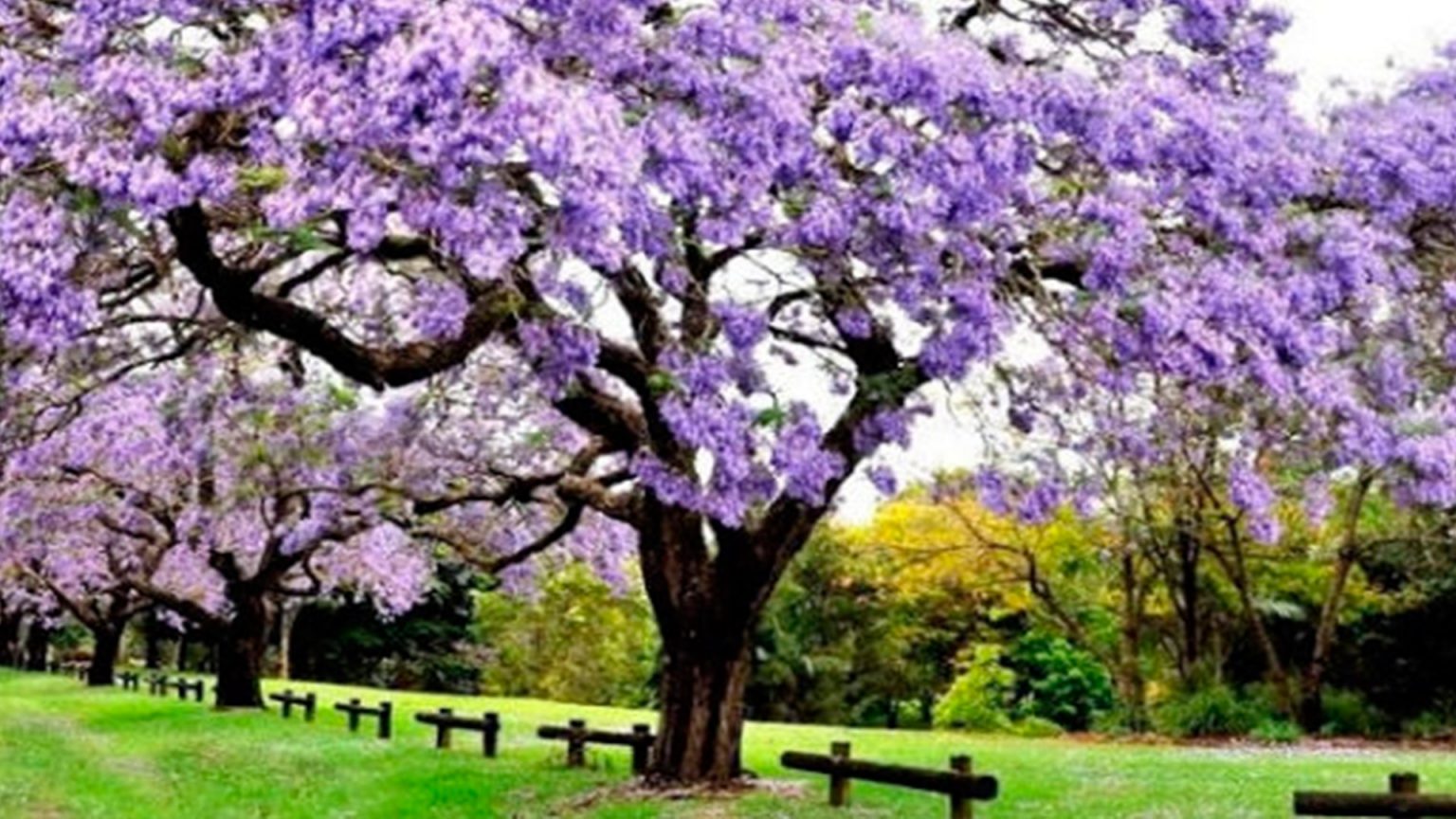 Imagen: elblogverde.com