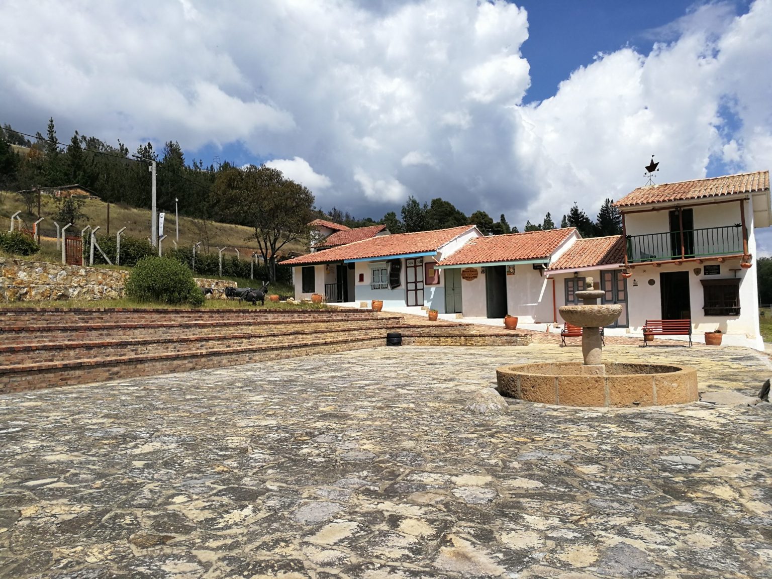 entreojos.co