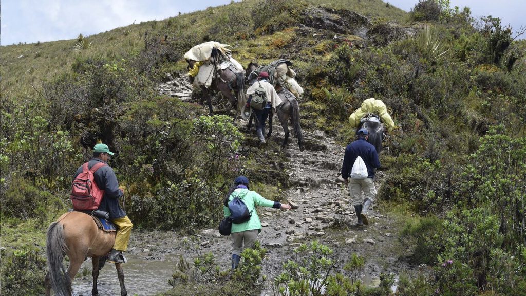Foto: entreojos.co