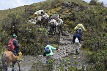 Foto: entreojos.co