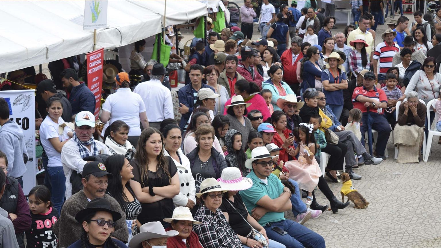 Foto: entreojos.co