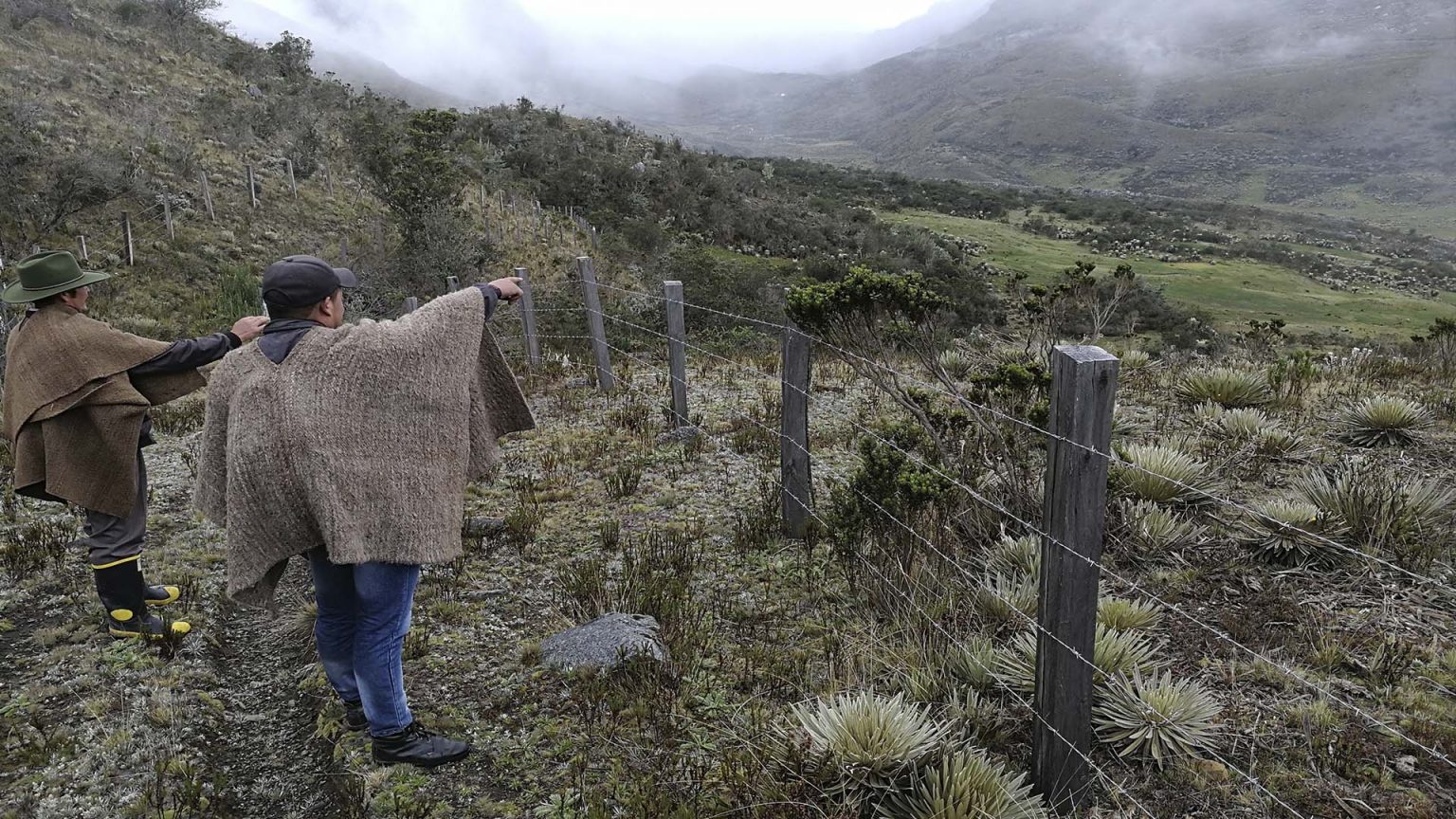 Foto: entreojos.co