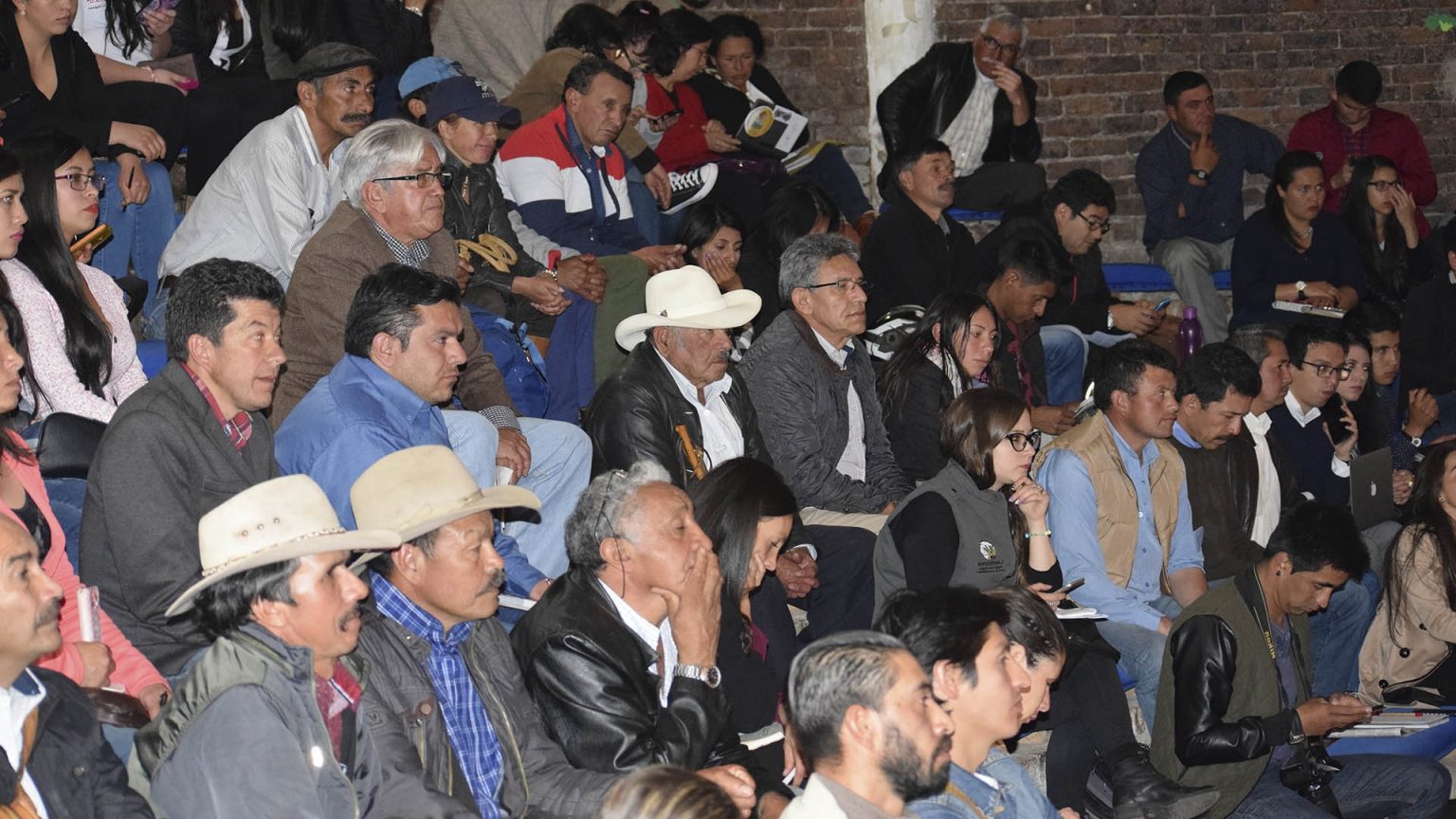 Foto: entreojos.co