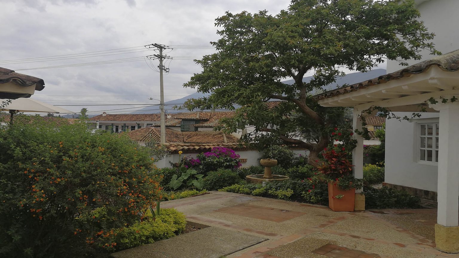 Foto: entreojos.co
