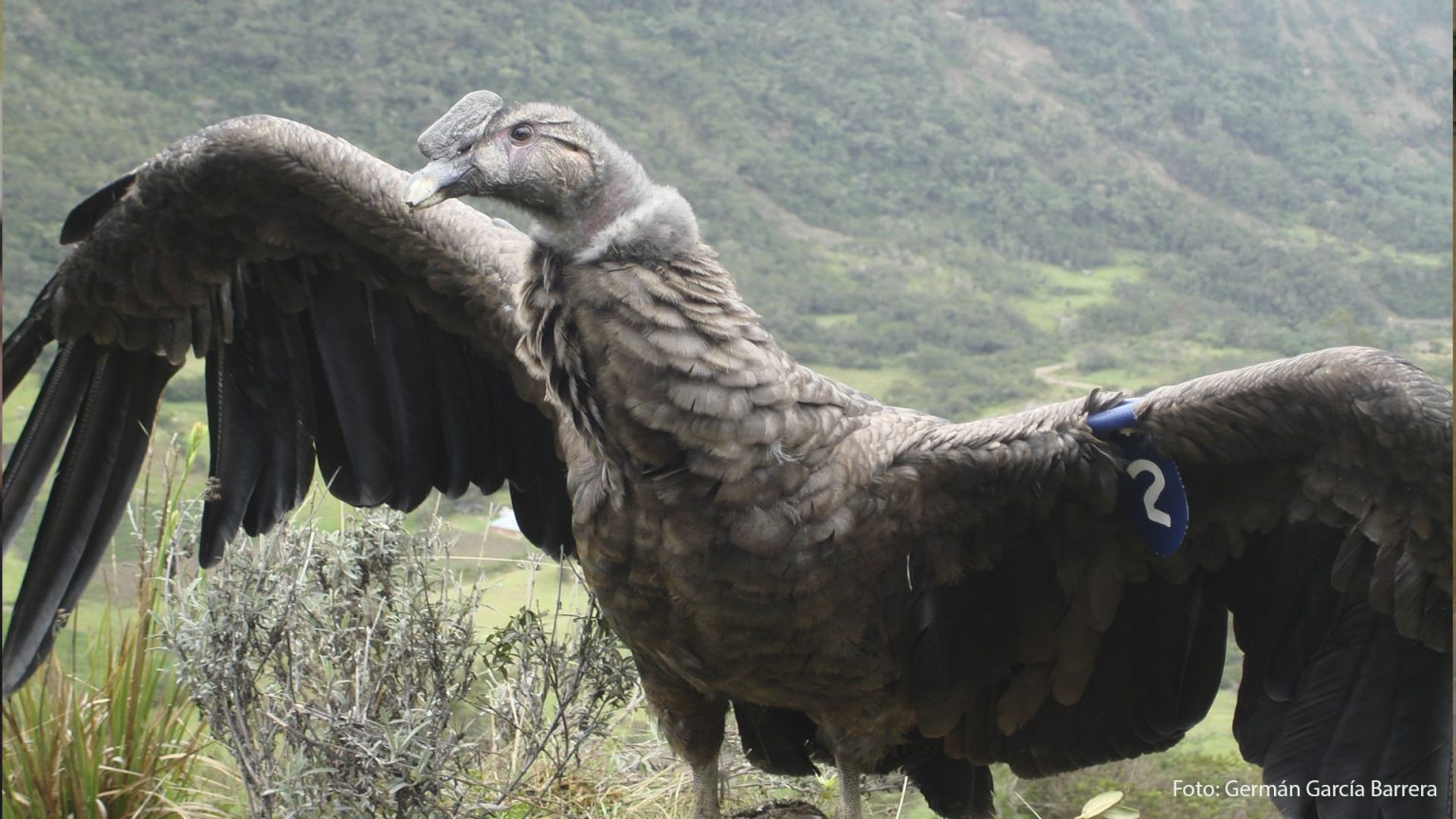 Foto: Germán García Barrera