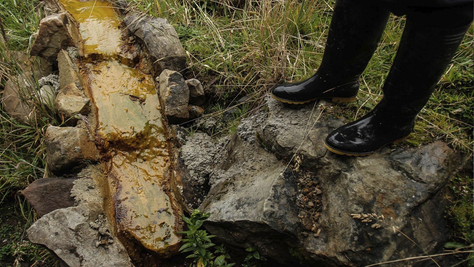 Foto: Greenpeace