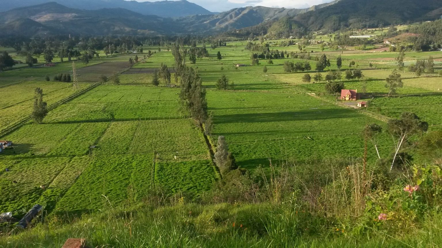 Foto: entreojos.co