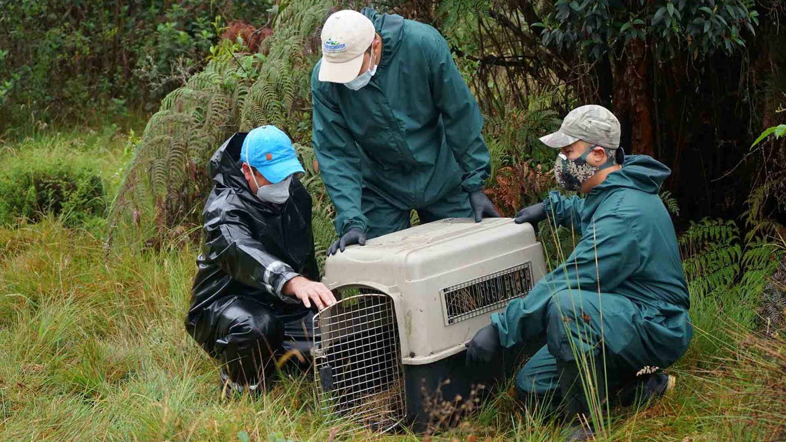 Corpochivor Destinará Más De 1 200 Millones A La Protección Y