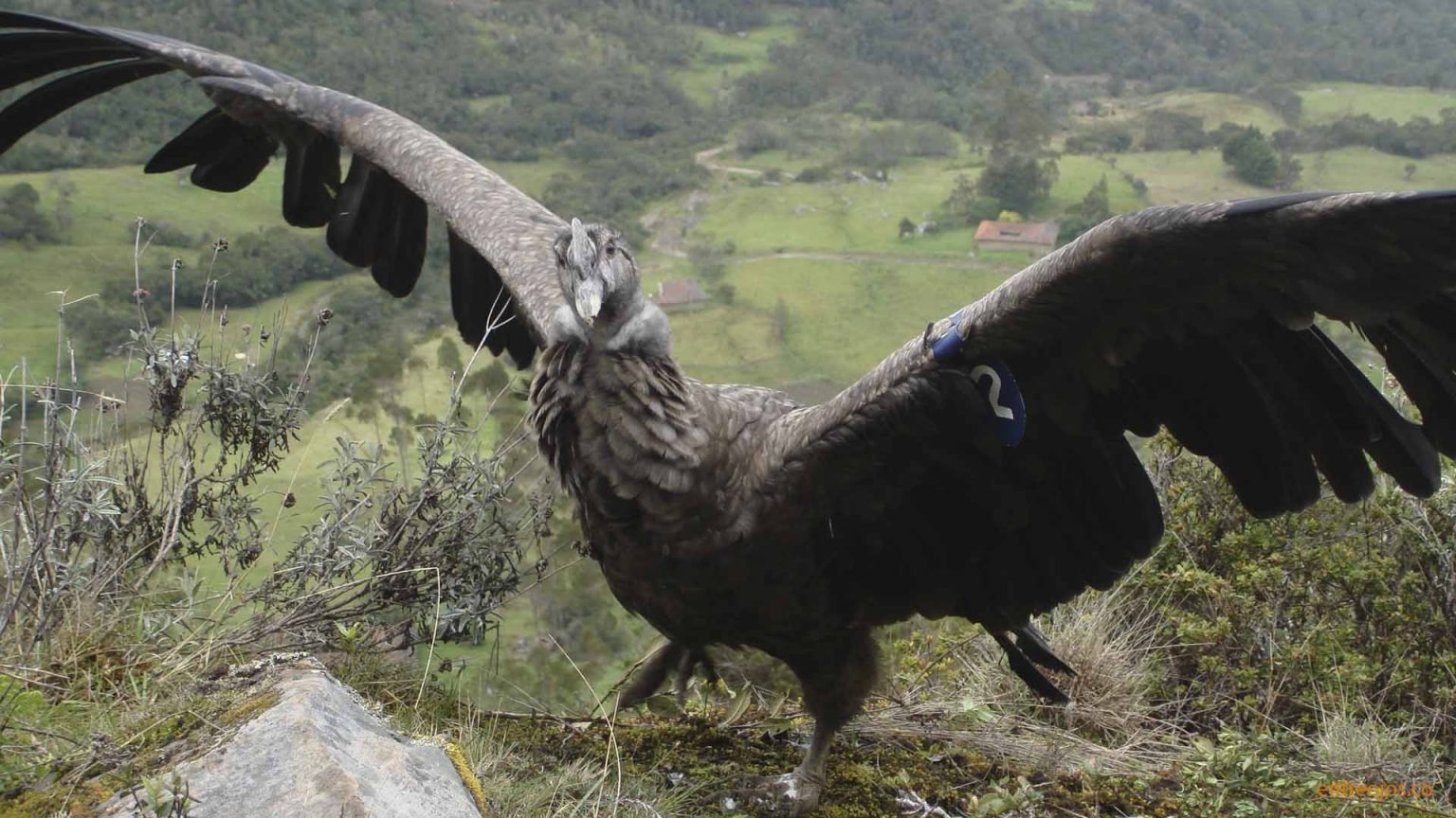 Foto: Germán García Barrera