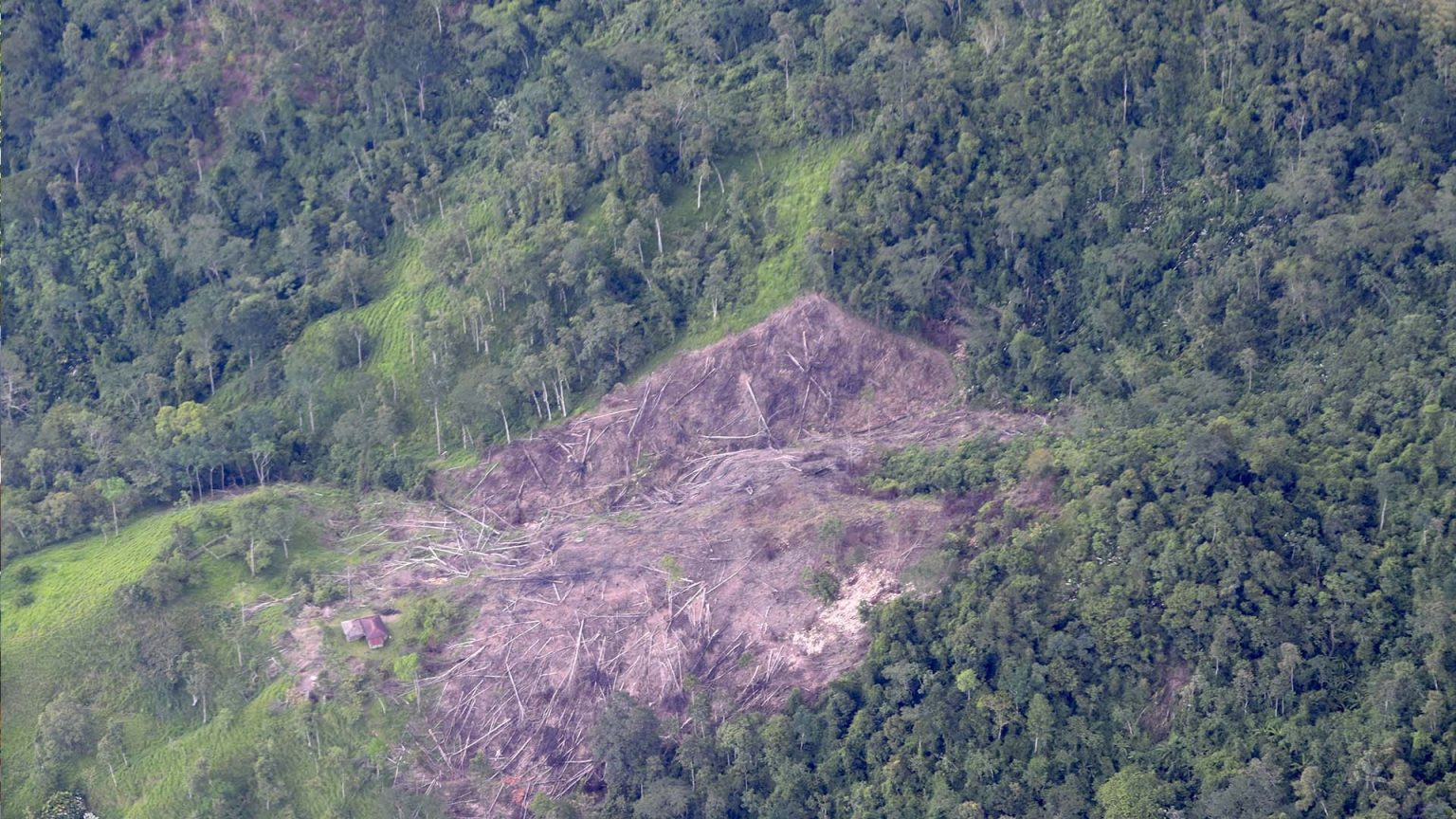 Foto: entreojos.co