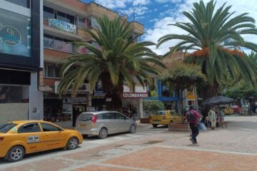 Palmas Sogamoso