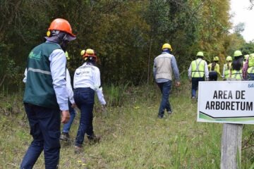 Argos compensación 1