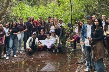 Jóvenes Manos al bosque
