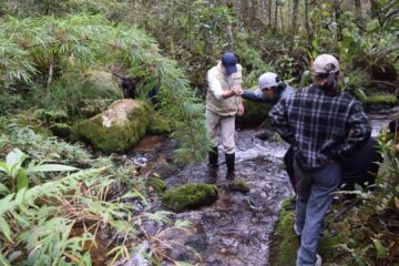 Turismo de naturaleza