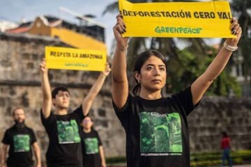 Greenpeace deforestación