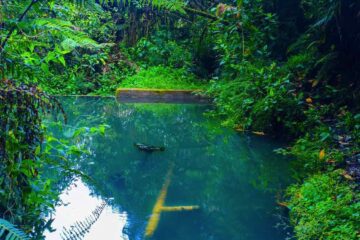 Captación Acueducto