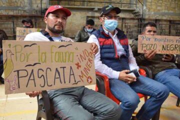 Veeduría ambiental