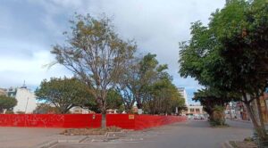 La Alcaldía de Sogamoso inició las obras de construcción del edificio administrativo y Corpoboyacá autorizó la tala de 29 árboles. Imagen: entreojos.co