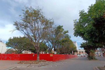 arboles Sogamoso