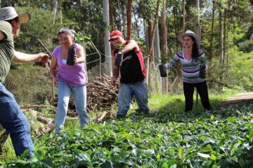 Agricultura de bajo impacto