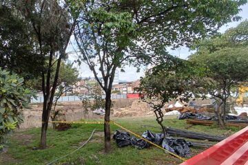 Arboles Sogamoso