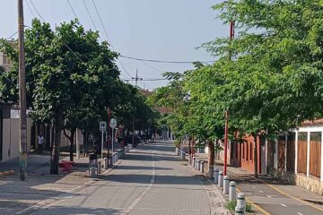 Bosques Urbanos