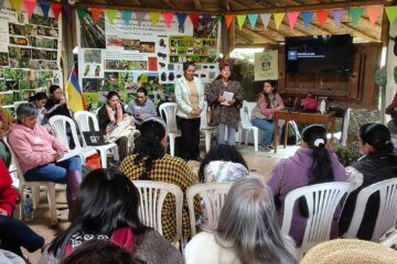 Festival del Bosque