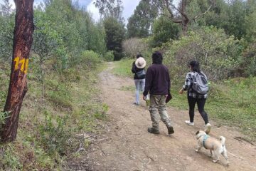 Parque del Sur