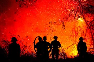 Incendio forestal