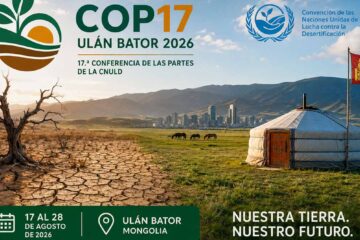 cop17