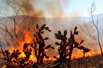 Incendio Boyacá