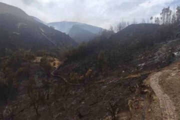 Incendio Iguaque