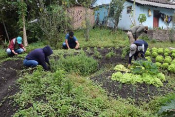 Participación